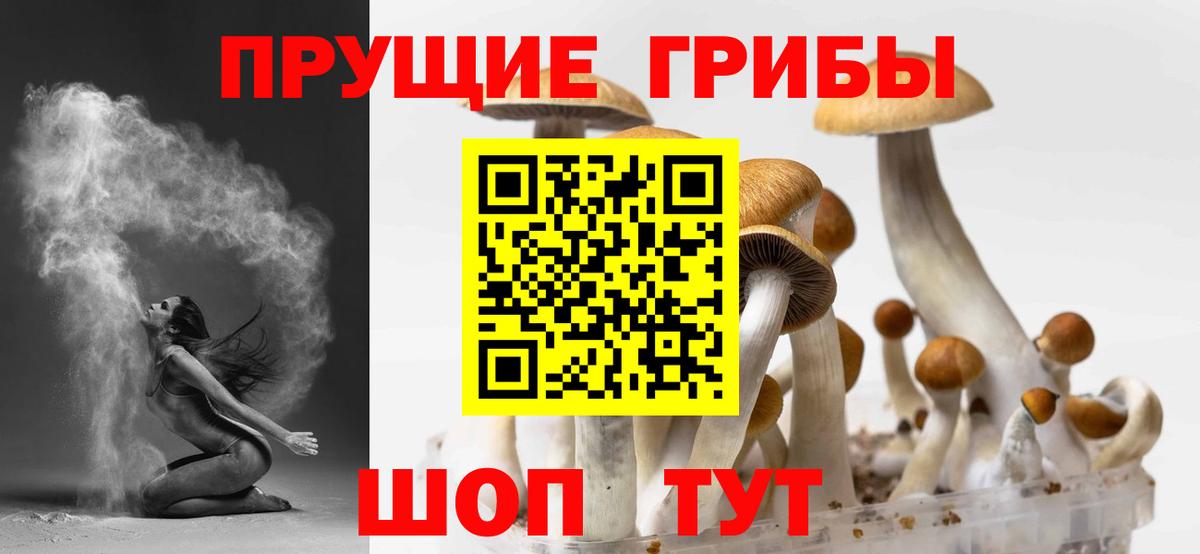 Псилоцибиновые грибы MAGIC MUSHROOMS Фрязино