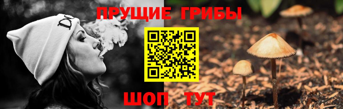 Фрязино  наркотики  Галлюциногенные грибы Psilocybine cubensis  Вход с VPN  Псилоцибиновые грибы мухоморы 