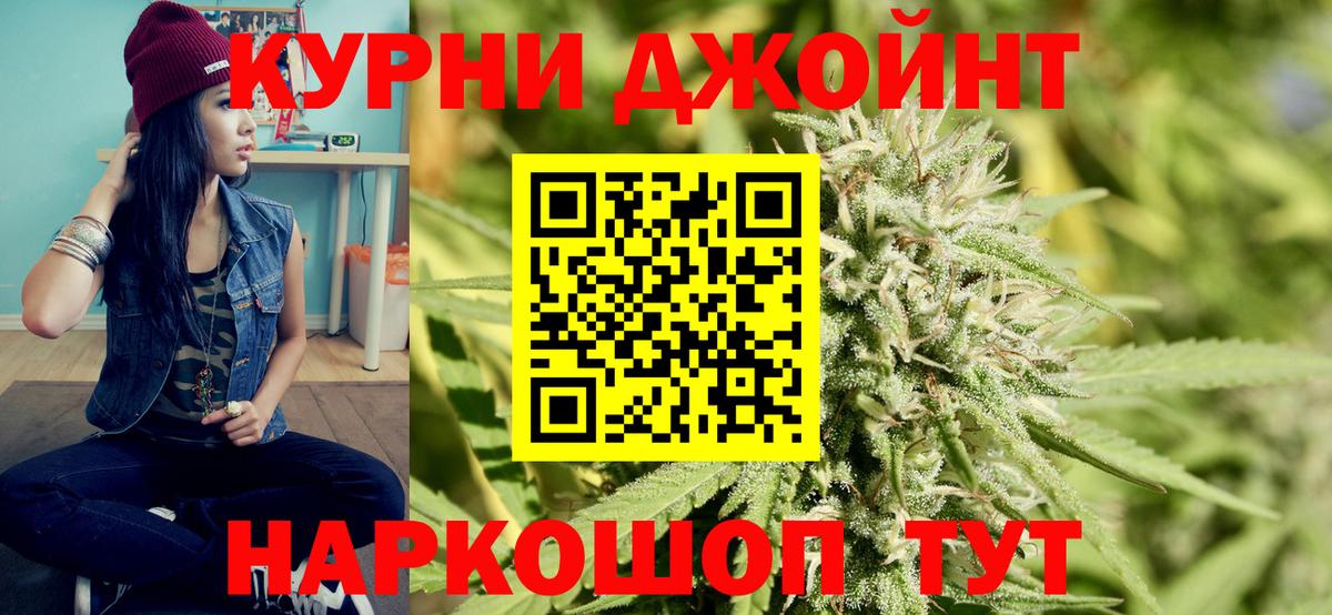 Бошки Шишки семена  МАРИХУАНА сатива  Канабис MAZAR  Вход с VPN  Фрязино 